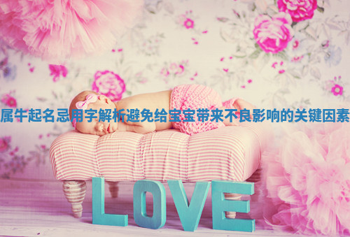 属牛起名忌用字解析避免给宝宝带来不良影响的关键因素